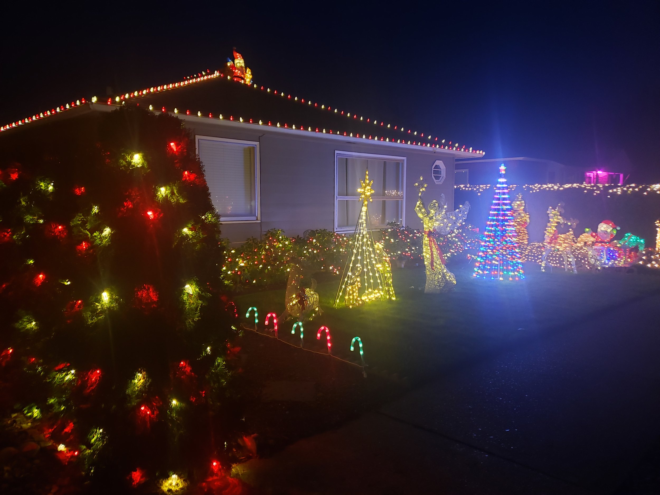 Walk of the Town: Holiday Edition Award for Best design in TD